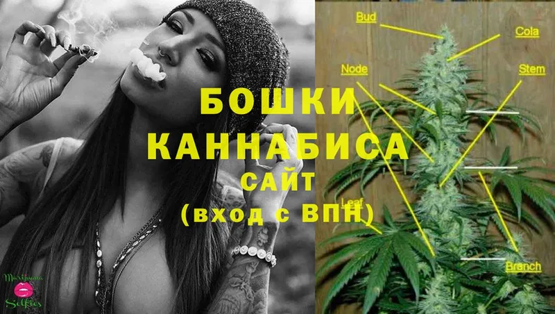 Бошки Шишки OG Kush  хочу   кракен сайт  Кириллов 